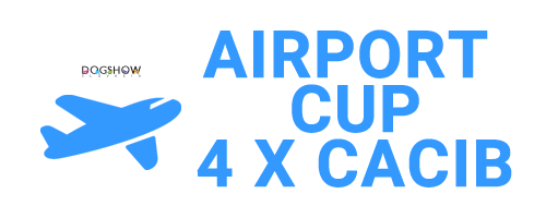 AIRPORT CUP - FINAL COMPETITIONS - RESULTS